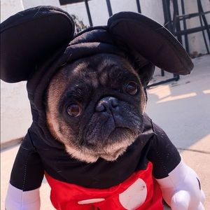 Disney Mickey Mouse Dog Costume, Size Large (wears like small/medium)